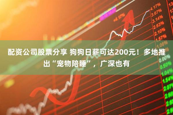 配资公司股票分享 狗狗日薪可达200元！多地推出“宠物陪睡”，广深也有