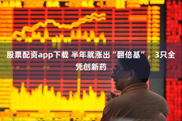 股票配资app下载 半年就涨出“翻倍基”，3只全凭创新药
