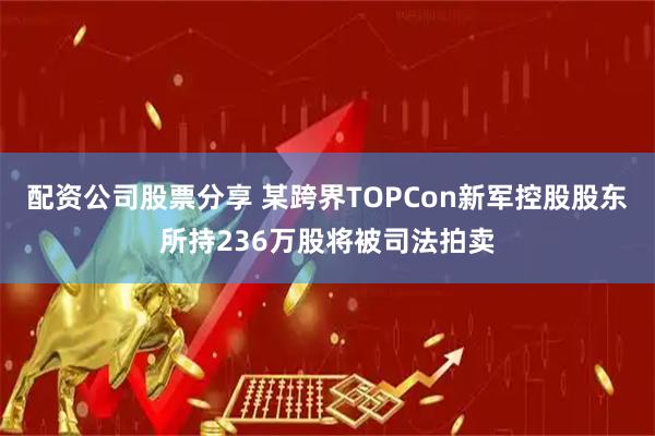 配资公司股票分享 某跨界TOPCon新军控股股东所持236万股将被司法拍卖